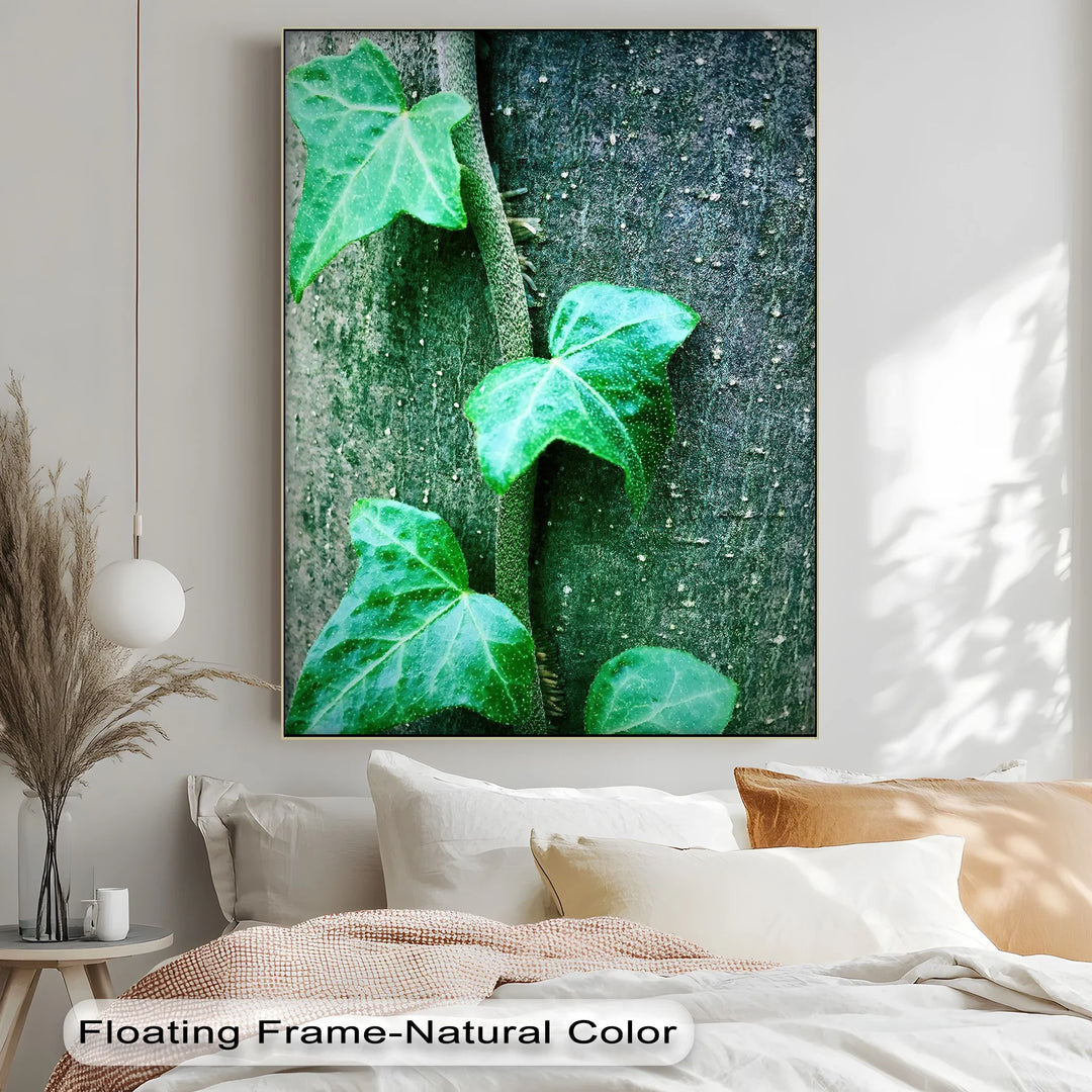 Climbing Ivy Close-Up – Nature Green Canvas Print - MyPhotoStation