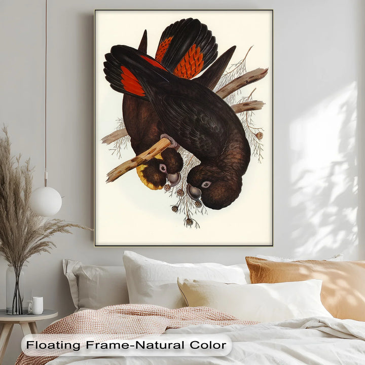 Crimson-Winged Black Cockatoos – Vintage Bird Illustration Animal Canvas Print - MyPhotoStation