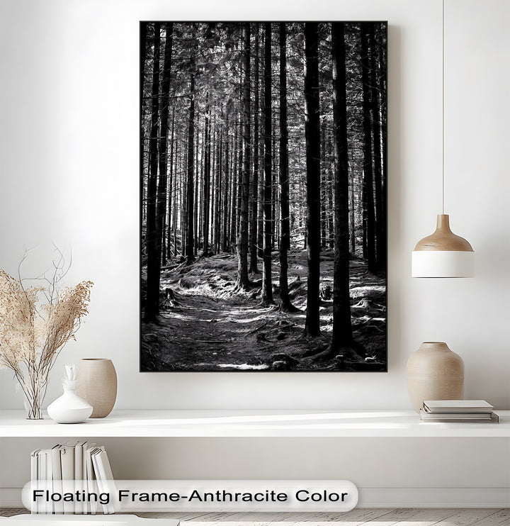 Whispers of the Woods – Black & White Forest Canvas Prints