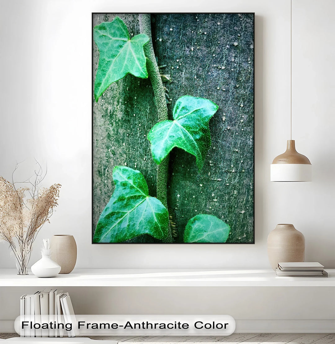 Climbing Ivy Close-Up – Nature Green Canvas Print - MyPhotoStation