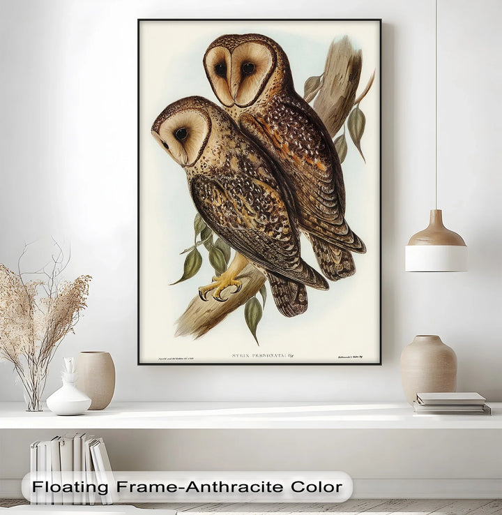 Vintage Barn Owls Illustration – Animal Canvas Print - MyPhotoStation
