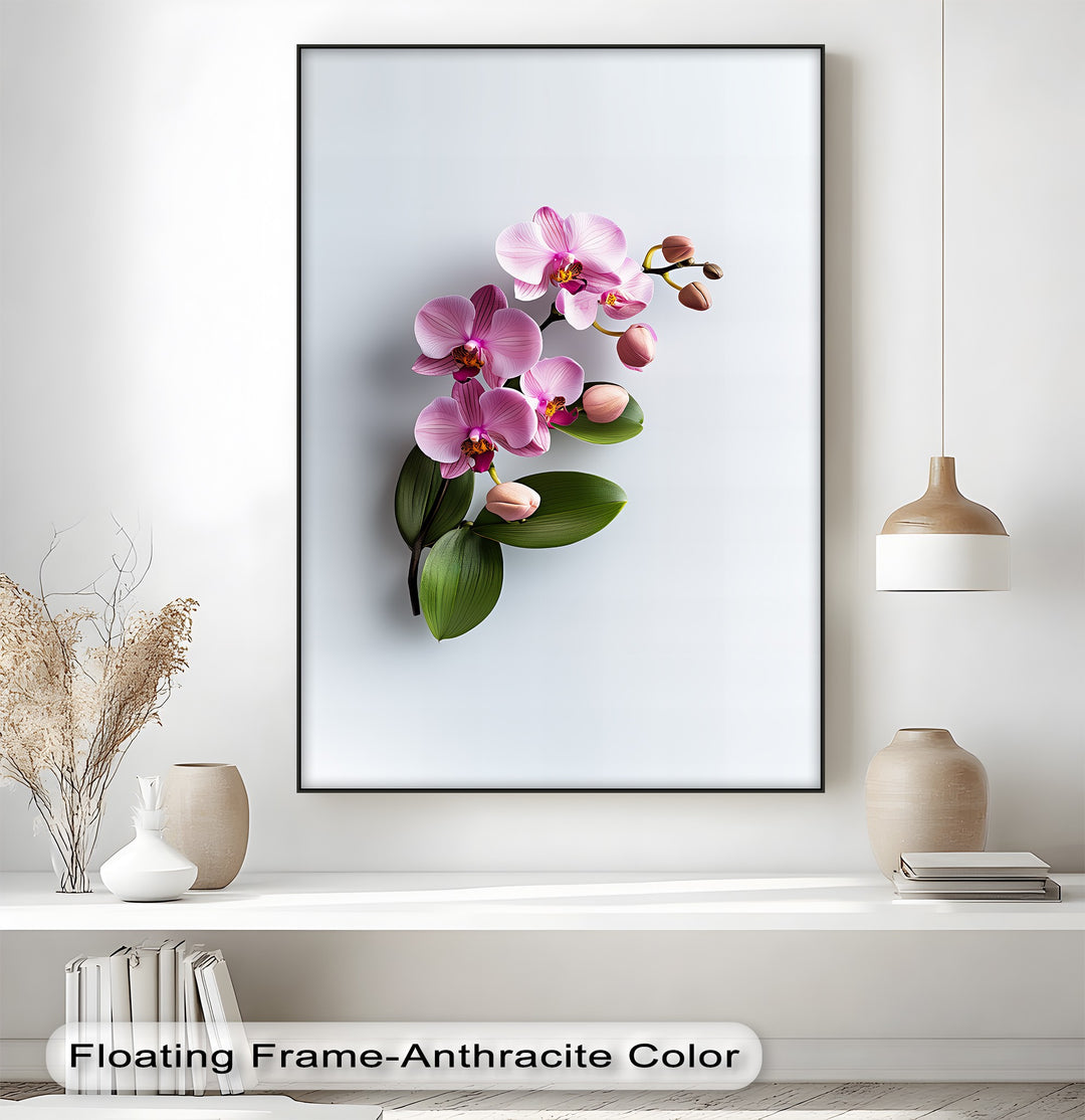 Soft Pink Phalaenopsis – elegant orchid canvas wall decor

