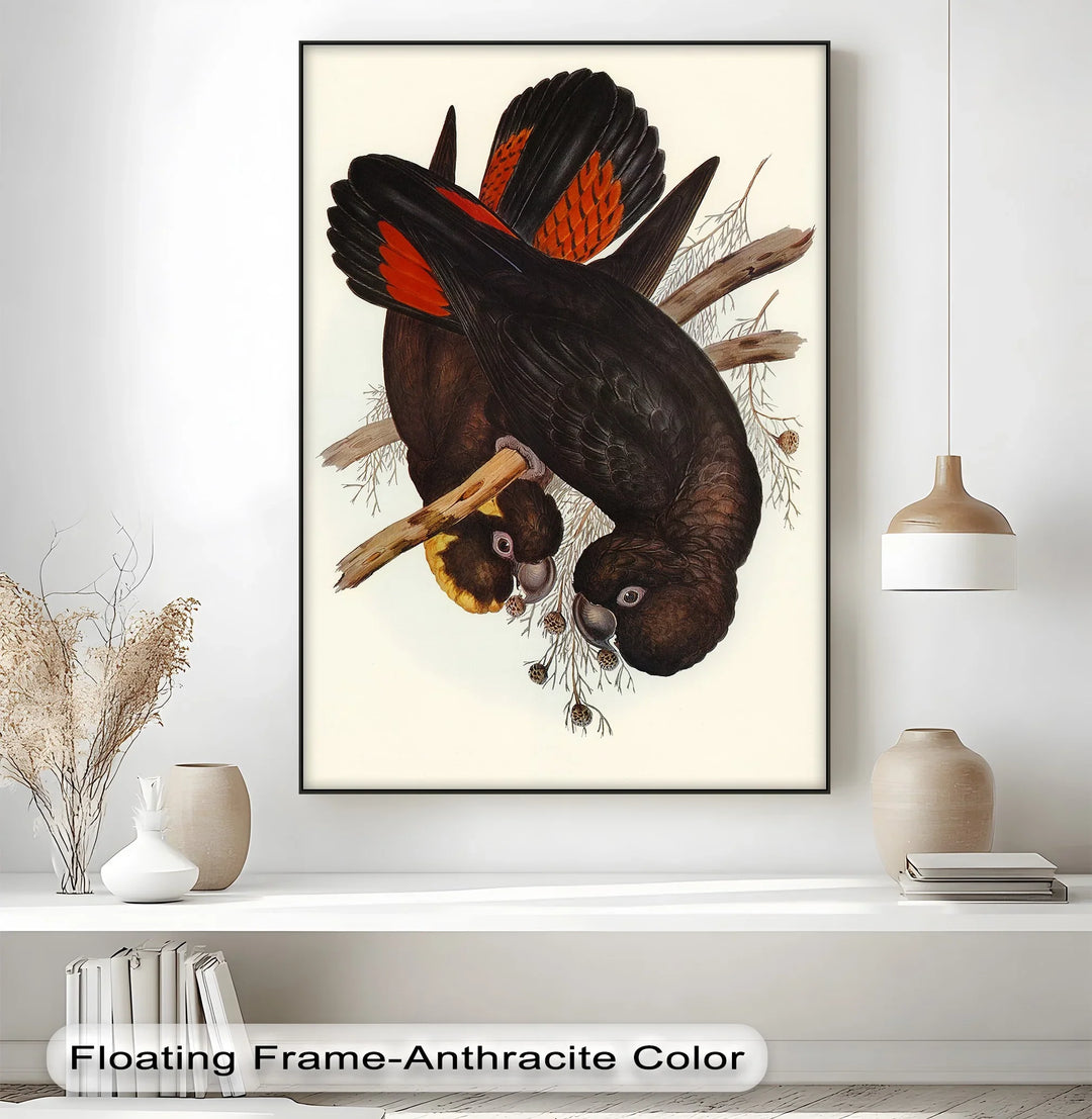 Crimson-Winged Black Cockatoos – Vintage Bird Illustration Animal Canvas Print - MyPhotoStation