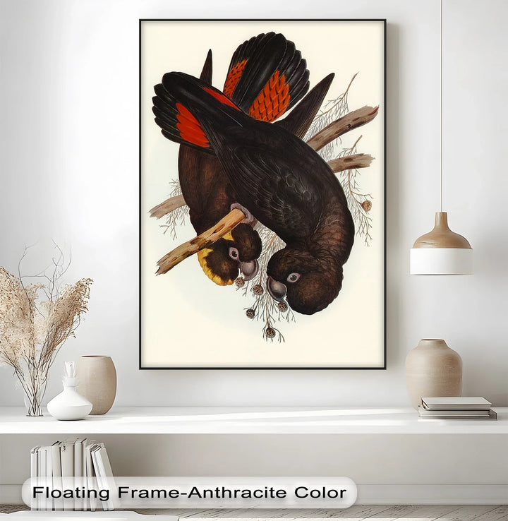 Crimson-Winged Black Cockatoos – Vintage Bird Illustration Animal Canvas Print - MyPhotoStation