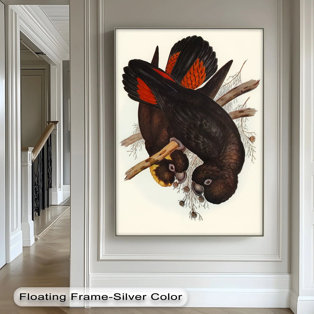 Crimson-Winged Black Cockatoos – Vintage Bird Illustration Animal Canvas Print - MyPhotoStation