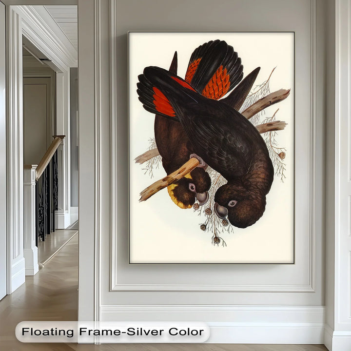 Crimson-Winged Black Cockatoos – Vintage Bird Illustration Animal Canvas Print - MyPhotoStation