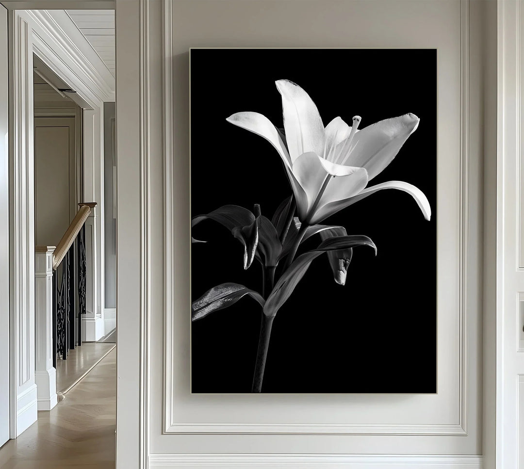black and white lily canvas Framed Canvas / 8W×10H″-(20x25cm) / Black