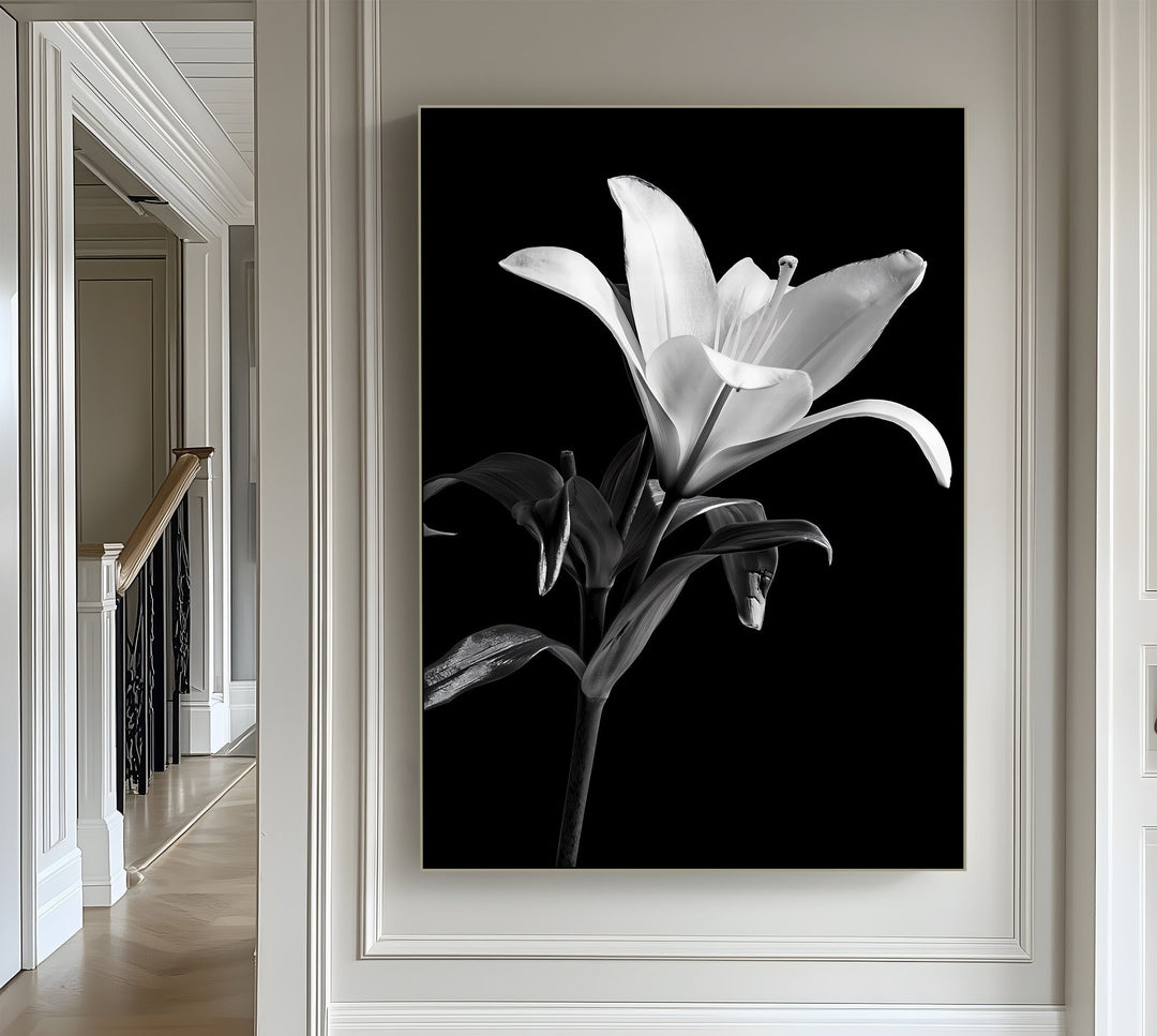Silent Bloom – Black and White Lily Canvas Prints