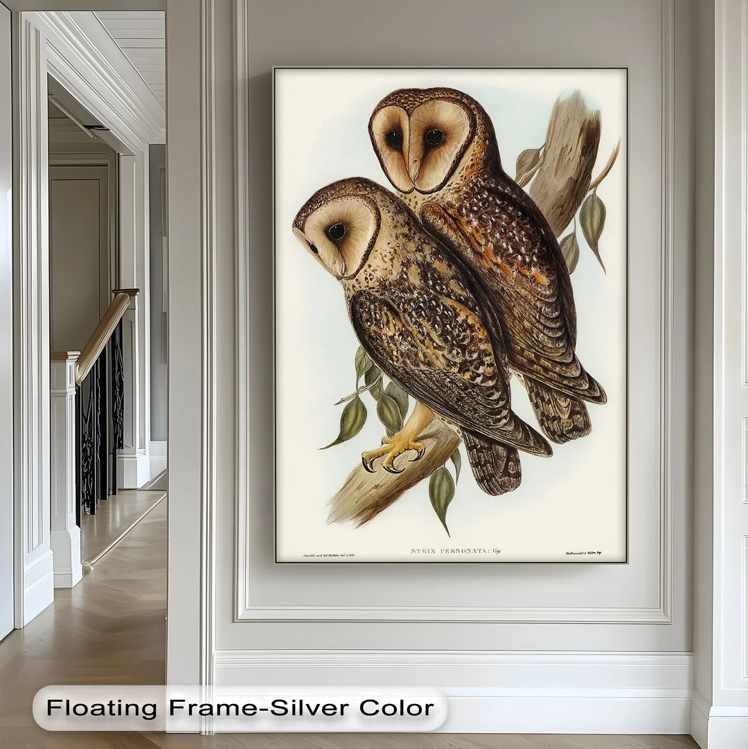 Vintage Barn Owls Illustration – Animal Canvas Print - MyPhotoStation