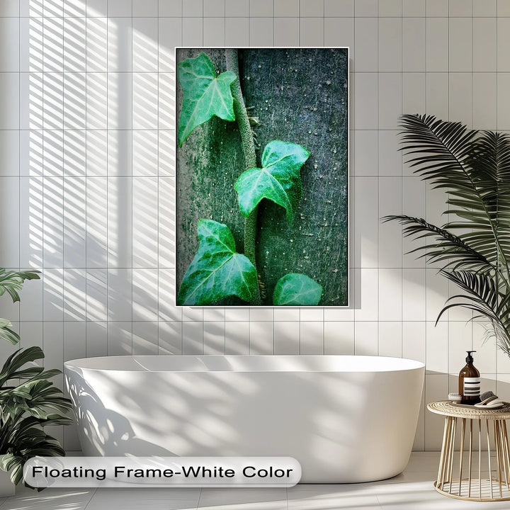 Climbing Ivy Close-Up – Nature Green Canvas Print - MyPhotoStation