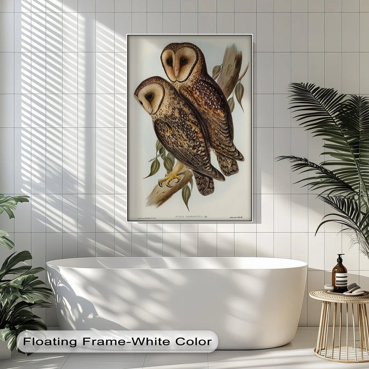 Vintage Barn Owls Illustration – Animal Canvas Print - MyPhotoStation