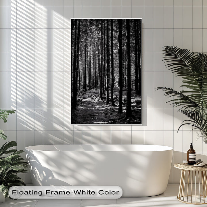 Whispers of the Woods – Black & White Forest Canvas Prints
