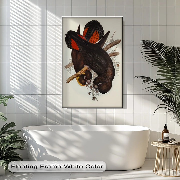 Crimson-Winged Black Cockatoos – Vintage Bird Illustration Animal Canvas Print - MyPhotoStation