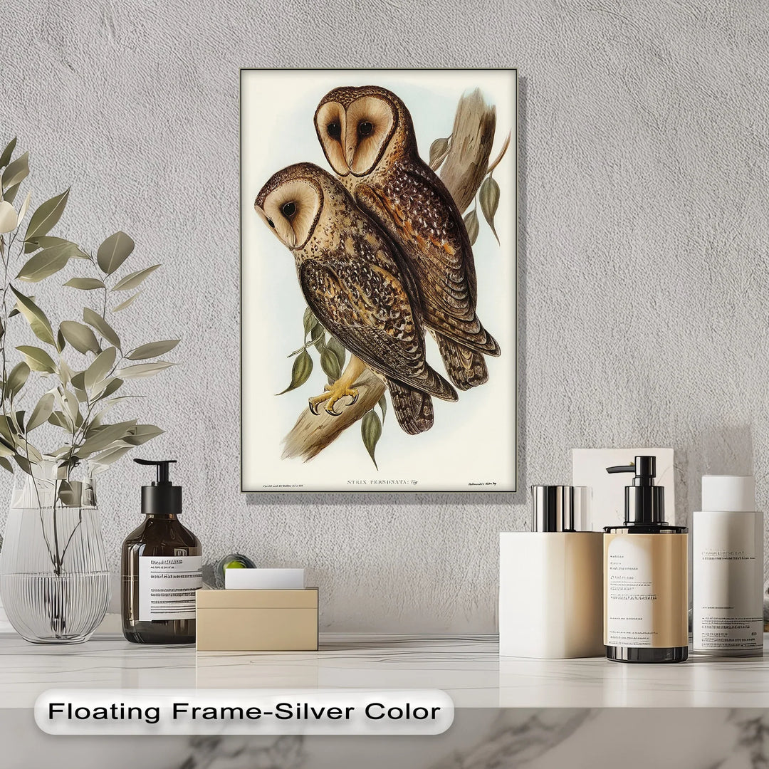 Vintage Barn Owls Illustration – Animal Canvas Print - MyPhotoStation
