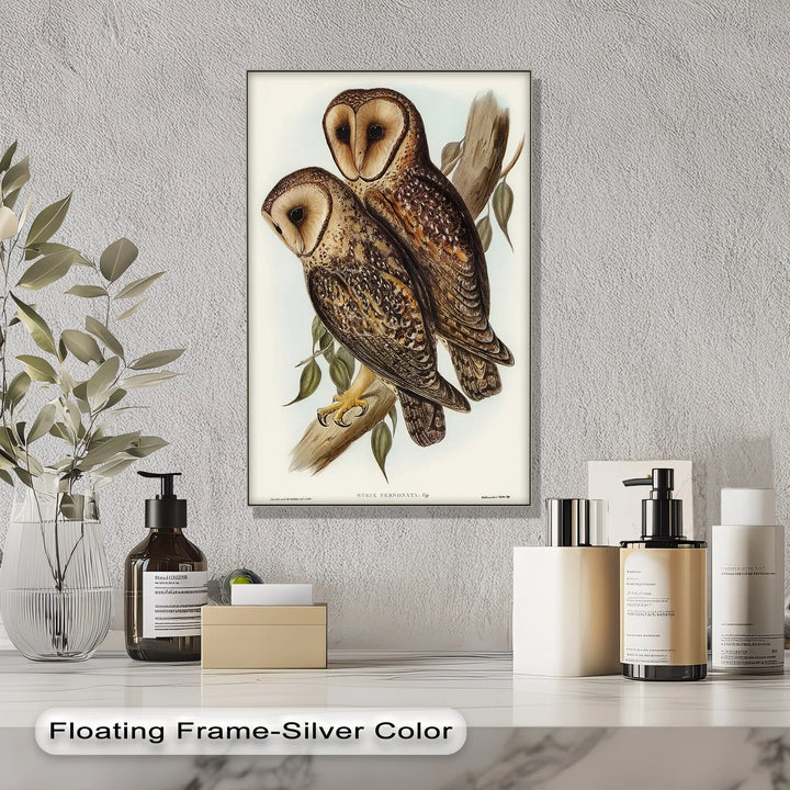 Vintage Barn Owls Illustration – Animal Canvas Print - MyPhotoStation