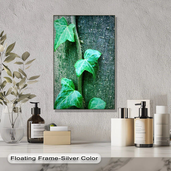 Climbing Ivy Close-Up – Nature Green Canvas Print - MyPhotoStation