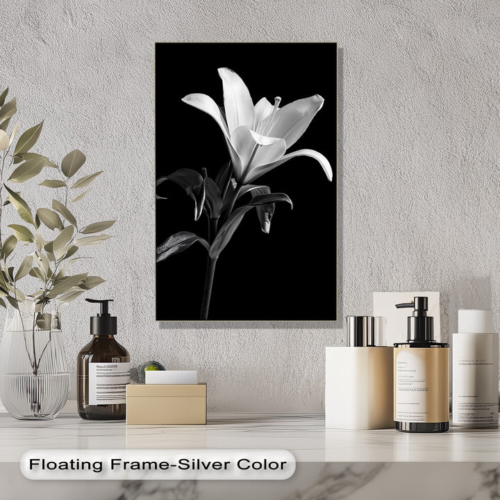 Silent Bloom – Black and White Lily Canvas Prints