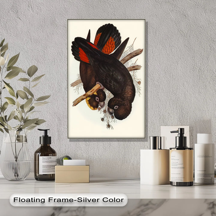 Crimson-Winged Black Cockatoos – Vintage Bird Illustration Animal Canvas Print - MyPhotoStation
