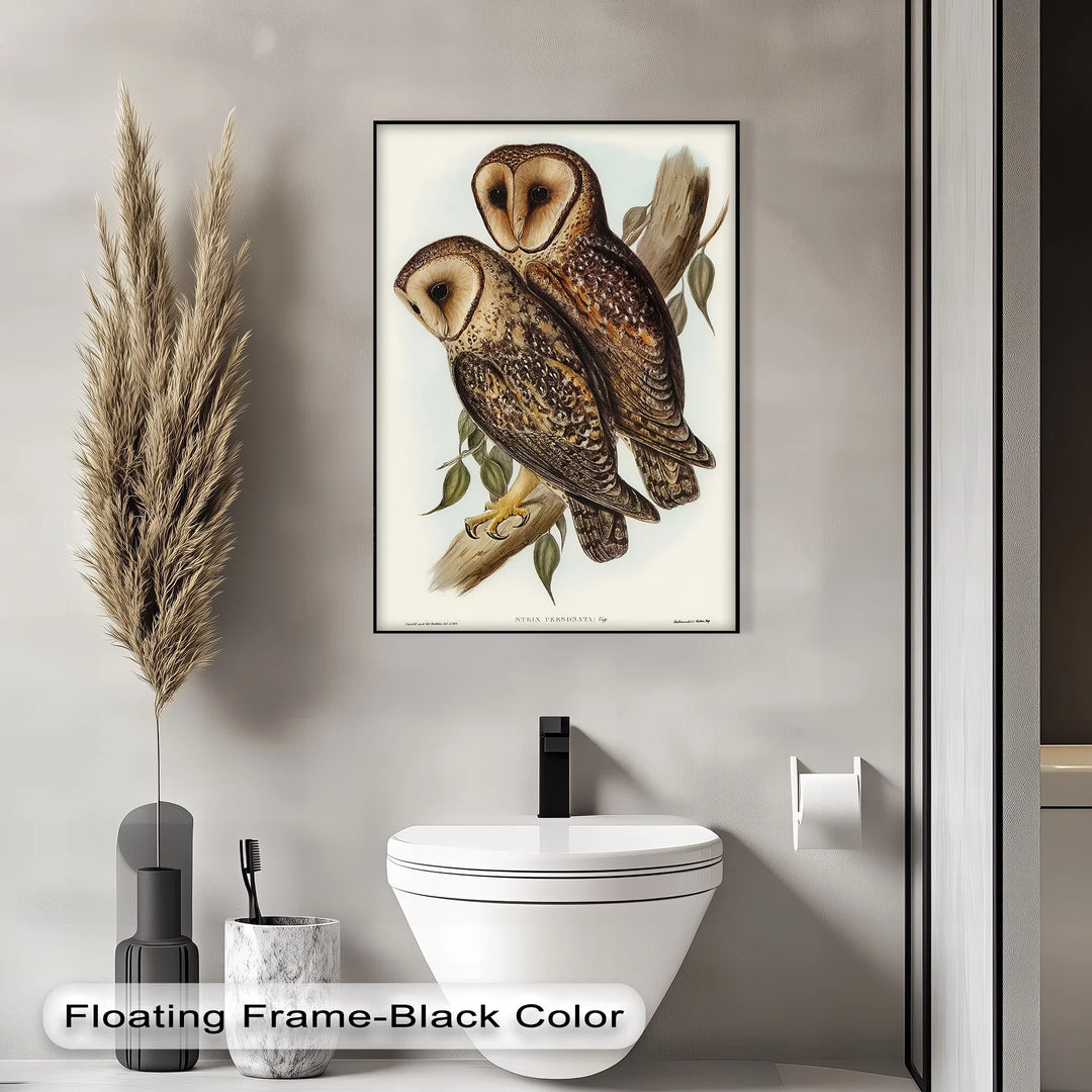 Vintage Barn Owls Illustration – Animal Canvas Print - MyPhotoStation