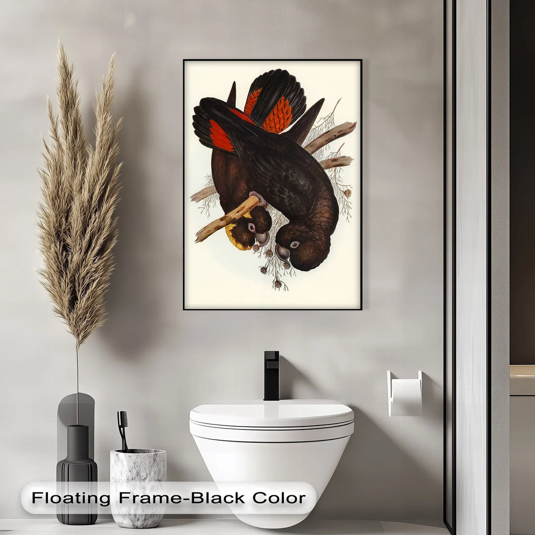 Crimson-Winged Black Cockatoos – Vintage Bird Illustration Animal Canvas Print - MyPhotoStation