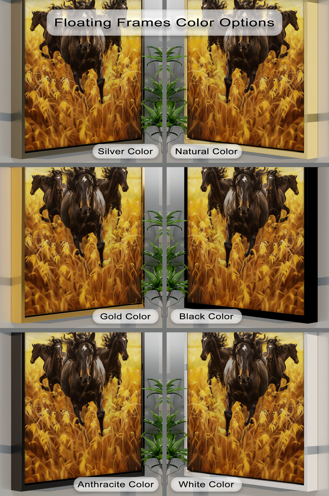 Black Horses Running Through a Wheat Field - Horse Canvas Print