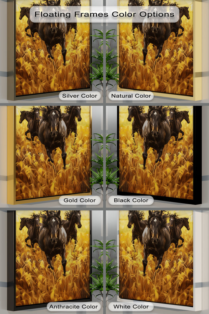 Black Horses Running Through a Wheat Field - Horse Canvas Print