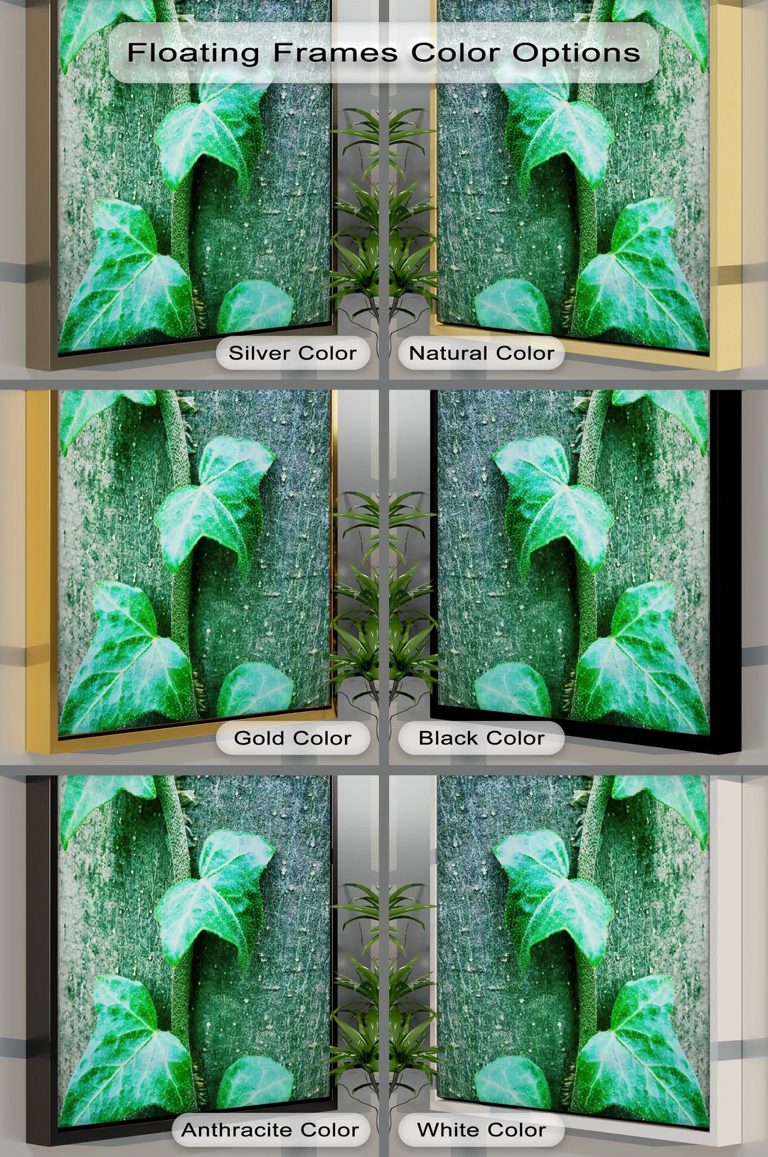 Climbing Ivy Close-Up – Nature Green Canvas Print - MyPhotoStation