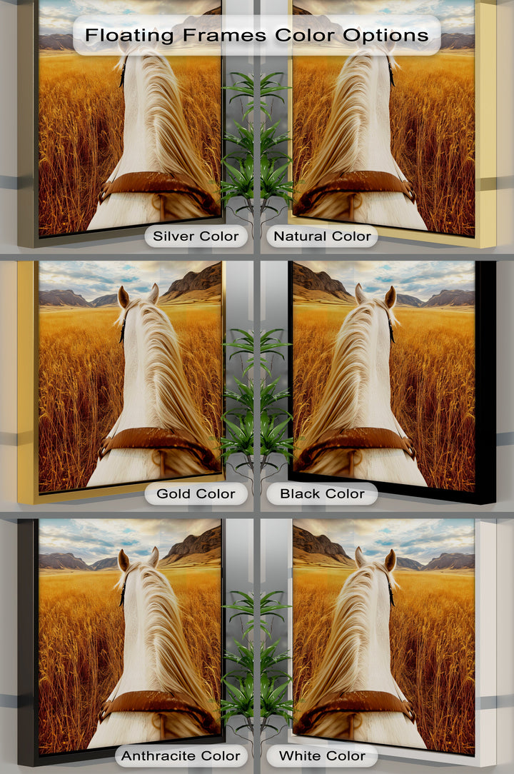 White Horse Overlooking a Golden Field - Horse Canvas Print