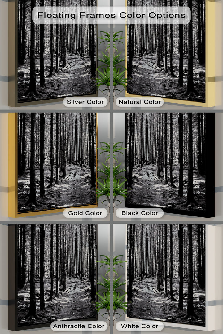 Whispers of the Woods – Black & White Forest Canvas Prints