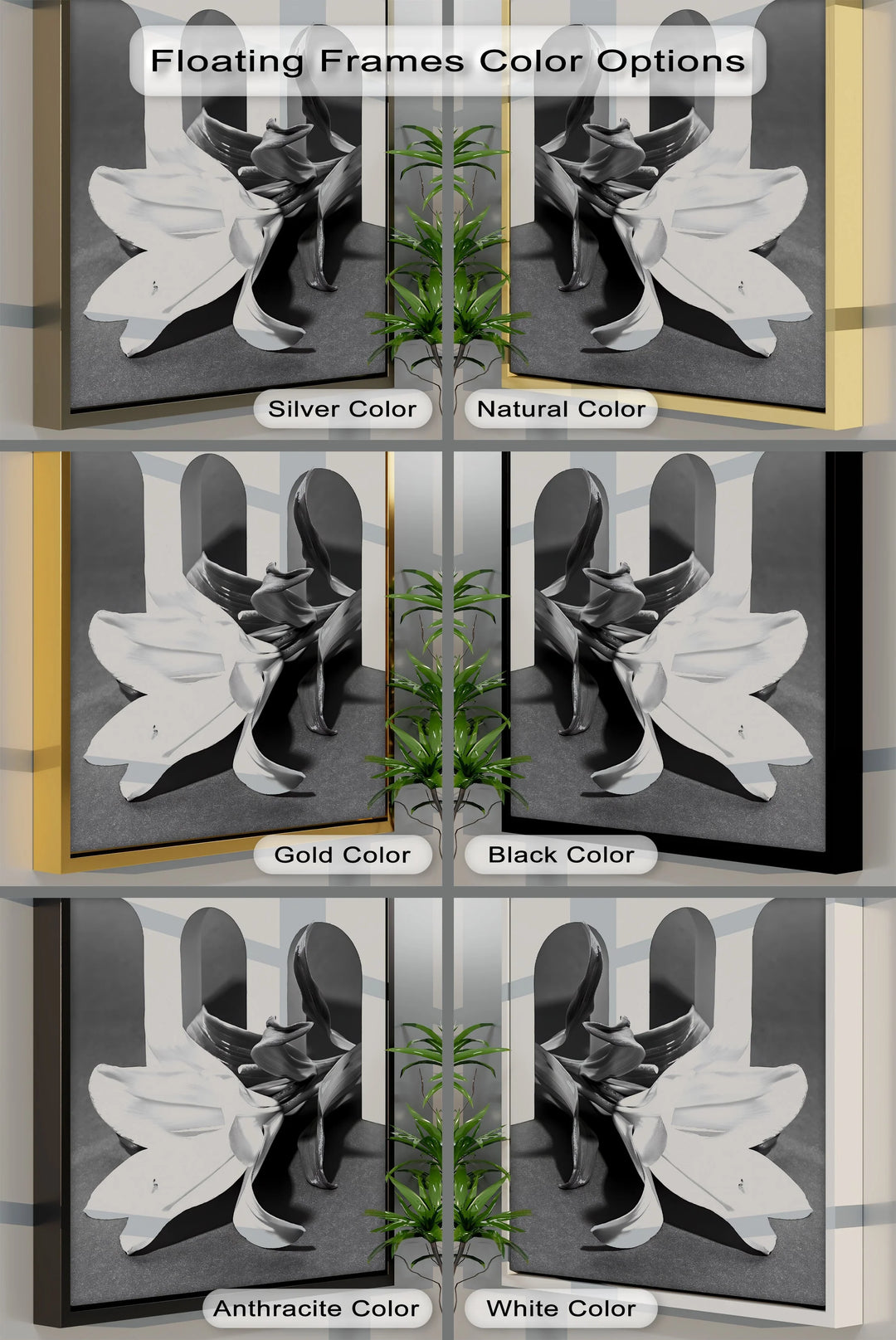 Architectural Bloom – Black & White Floral Canvas Prints - MyPhotoStation