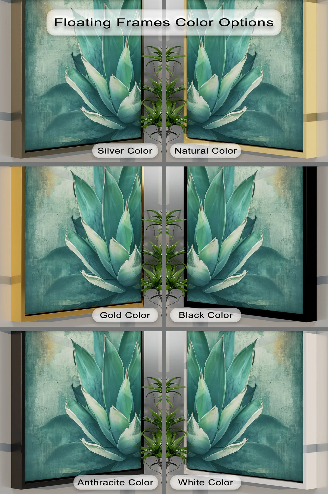 Agave Serenity – Succulent Plant Close-Up Canvas Print - MyPhotoStation