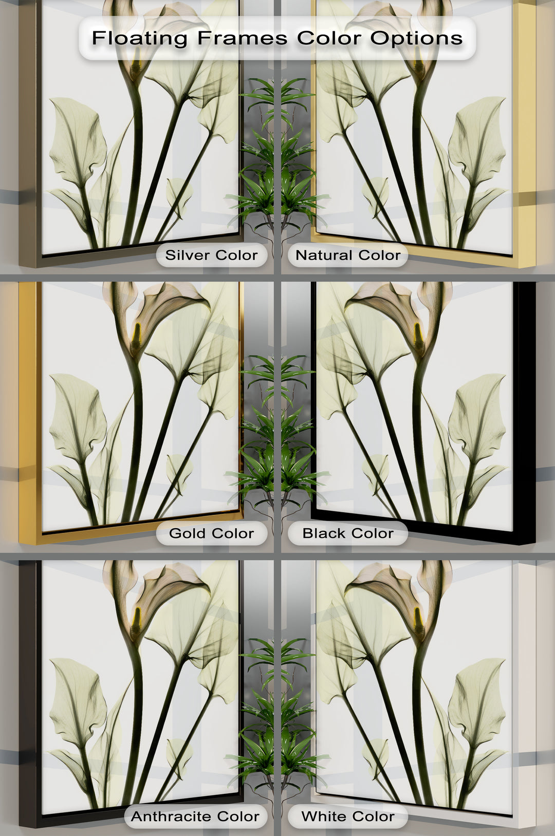 Soft Calla Grace – Minimalist Botanical Canvas Print