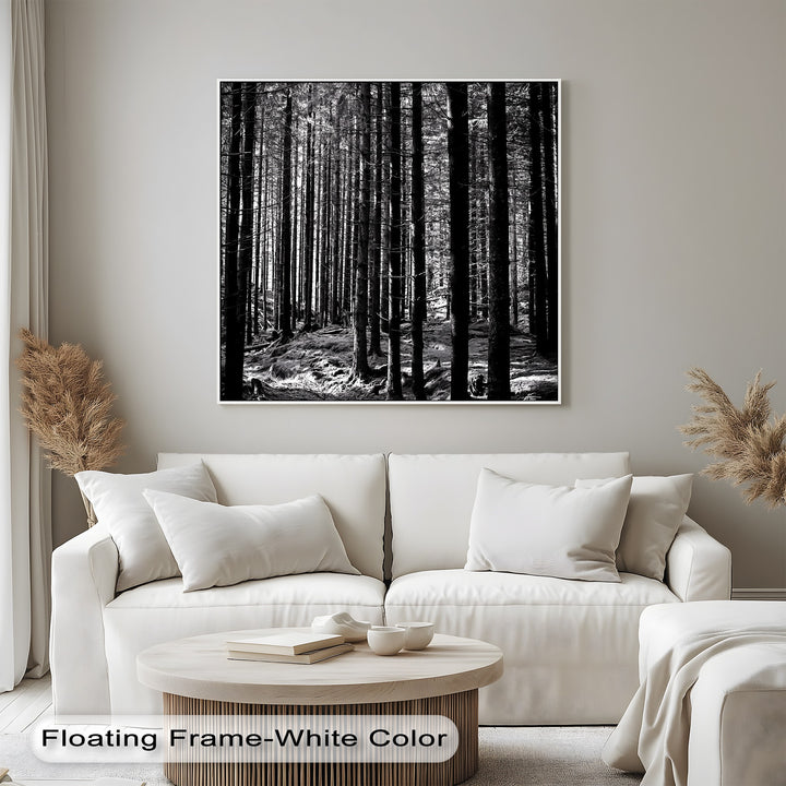 Whispers of the Woods – Black & White Forest Canvas Prints