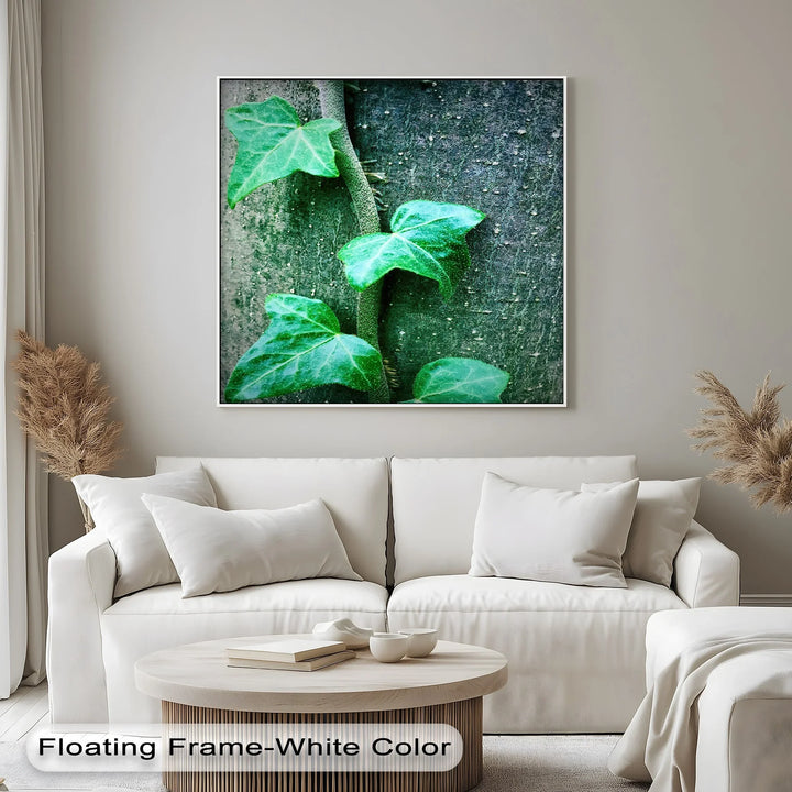 Climbing Ivy Close-Up – Nature Green Canvas Print - MyPhotoStation