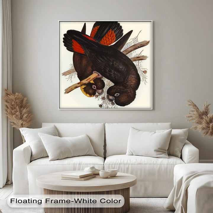 Crimson-Winged Black Cockatoos – Vintage Bird Illustration Animal Canvas Print - MyPhotoStation