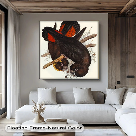 Depicting two crimson-winged black cockatoos perched upside down, this unique canvas print showcases a vintage bird illustration of these magnificent creatures.