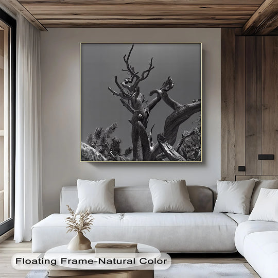 Transitioning grays highlight the textures and depth of this twisted roots tree in this monochrome best canvas prints wall art.