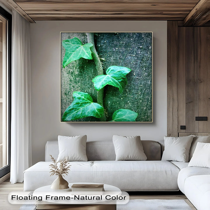 Climbing Ivy Close-Up – Nature Green Canvas Print - MyPhotoStation