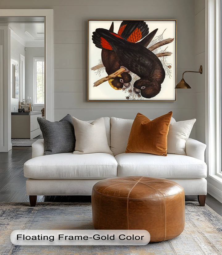 Crimson-Winged Black Cockatoos – Vintage Bird Illustration Animal Canvas Print - MyPhotoStation