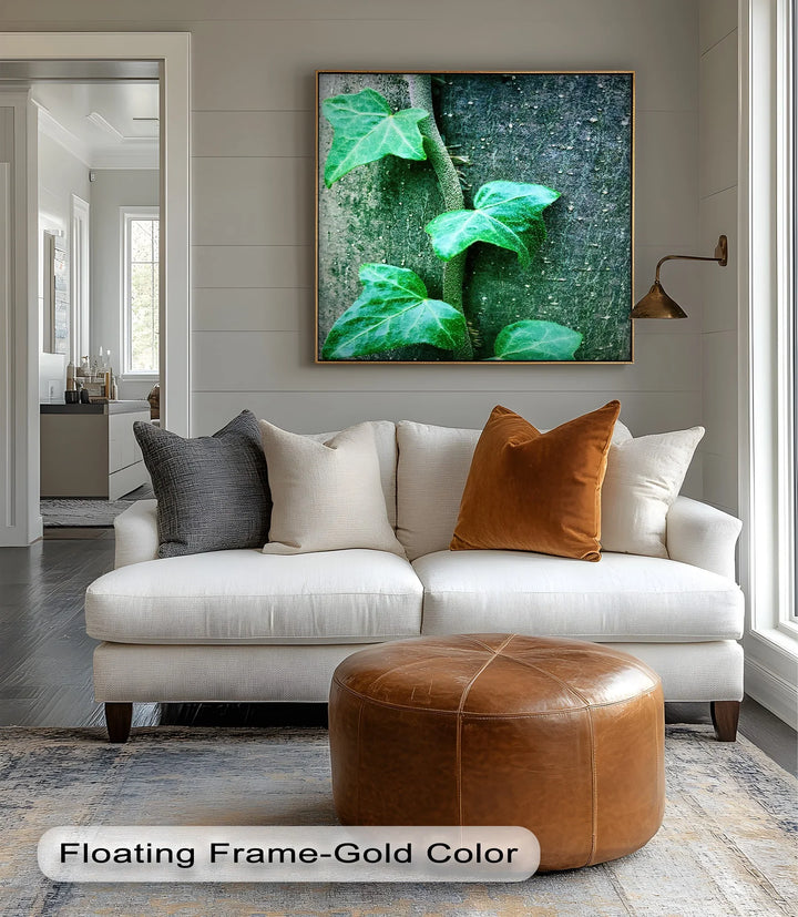 Climbing Ivy Close-Up – Nature Green Canvas Print - MyPhotoStation