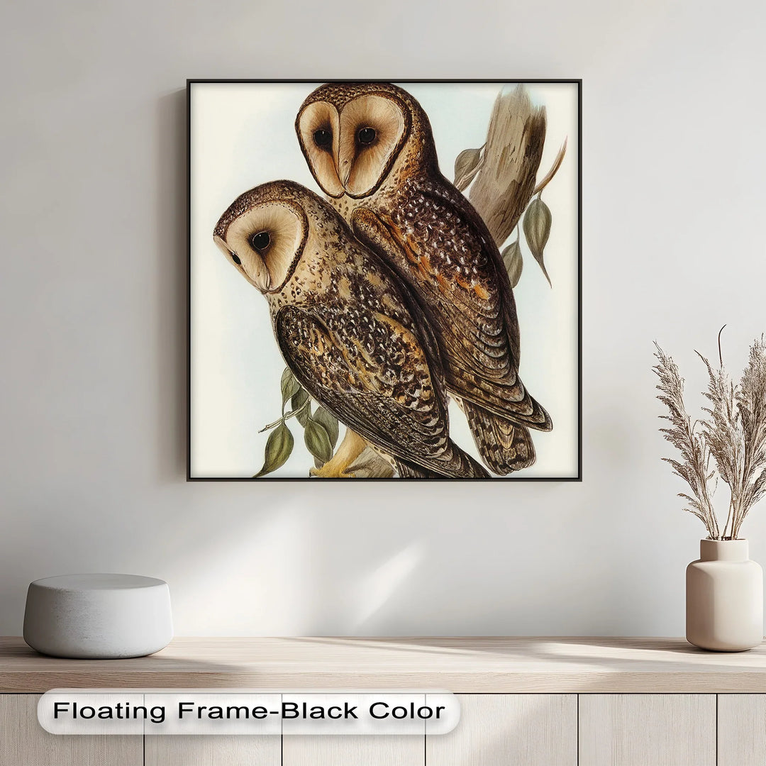 Vintage Barn Owls Illustration – Animal Canvas Print - MyPhotoStation