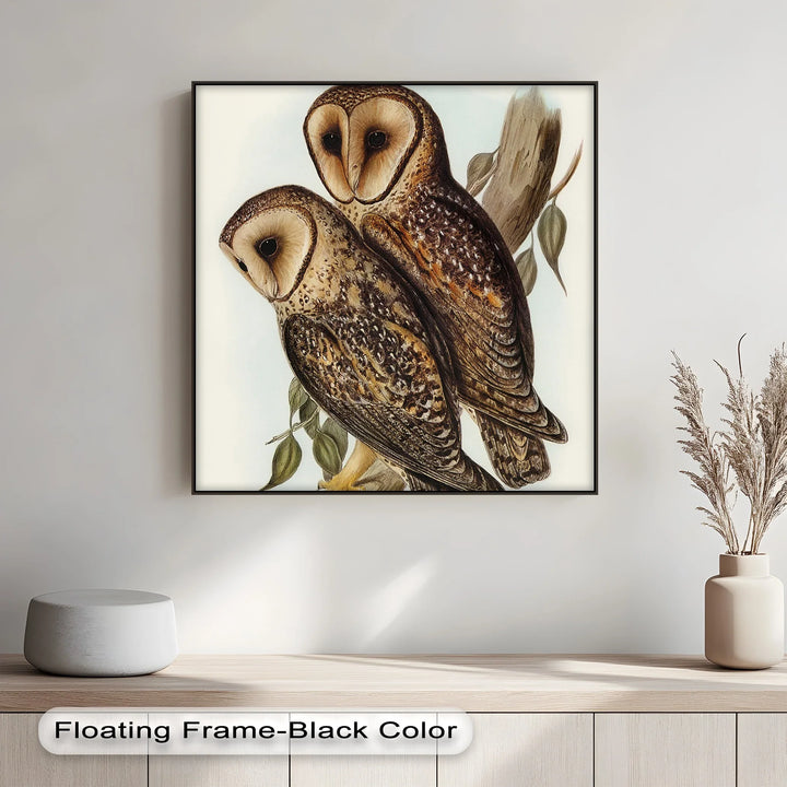 Vintage Barn Owls Illustration – Animal Canvas Print - MyPhotoStation