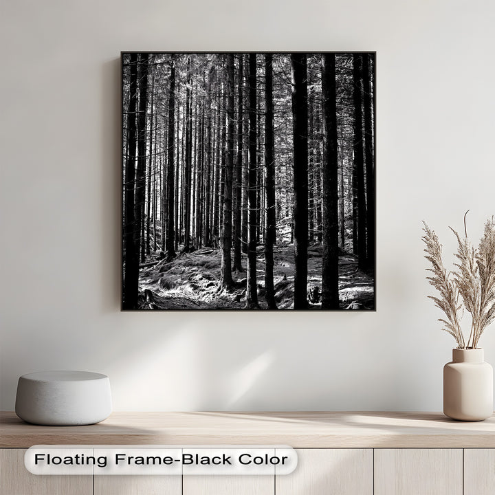 Whispers of the Woods – Black & White Forest Canvas Prints