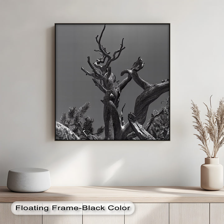 This unique custom canvas print captures the artistry of nature in a stark, expressive silhouette.

