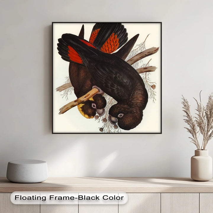 Crimson-Winged Black Cockatoos – Vintage Bird Illustration Animal Canvas Print - MyPhotoStation