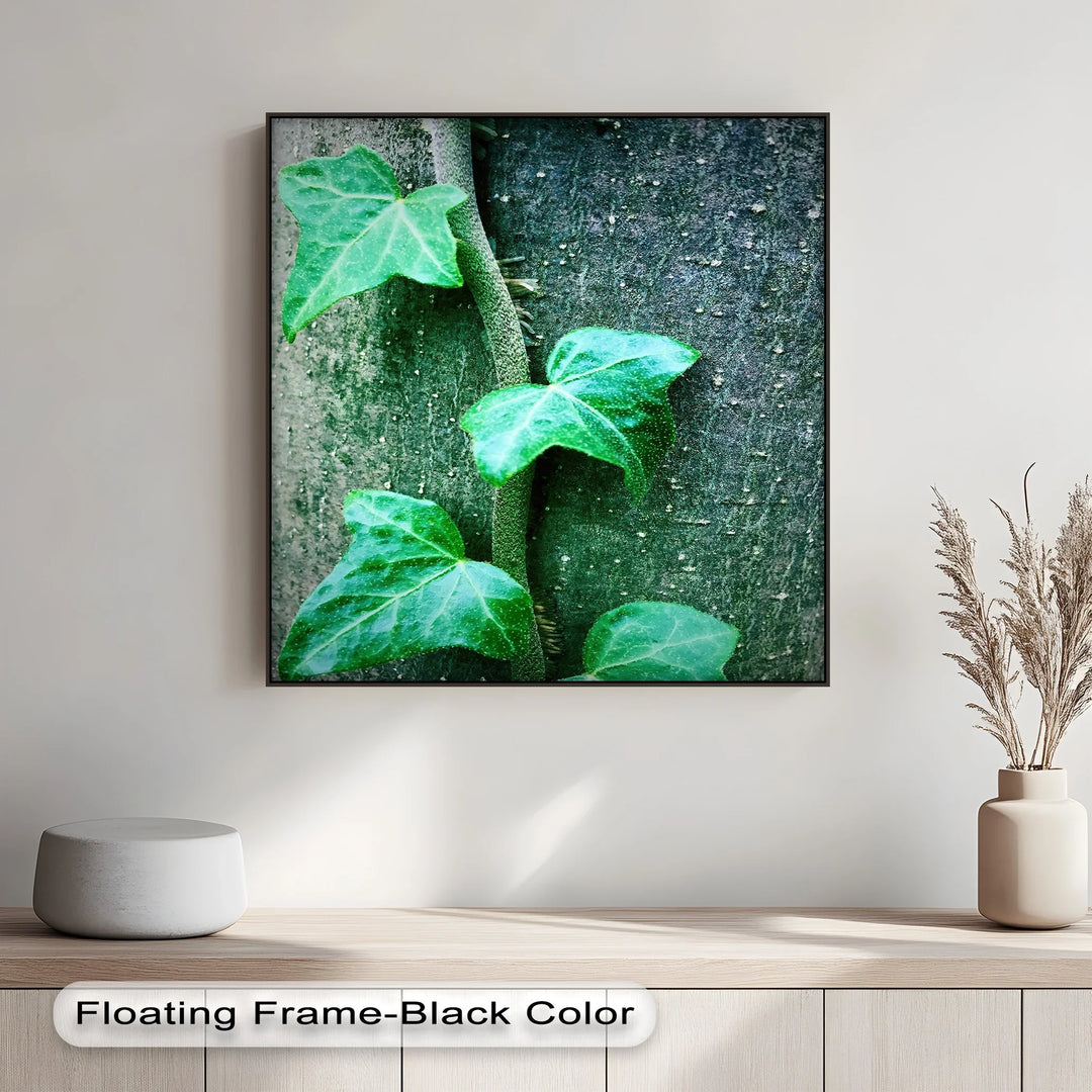 Climbing Ivy Close-Up – Nature Green Canvas Print - MyPhotoStation