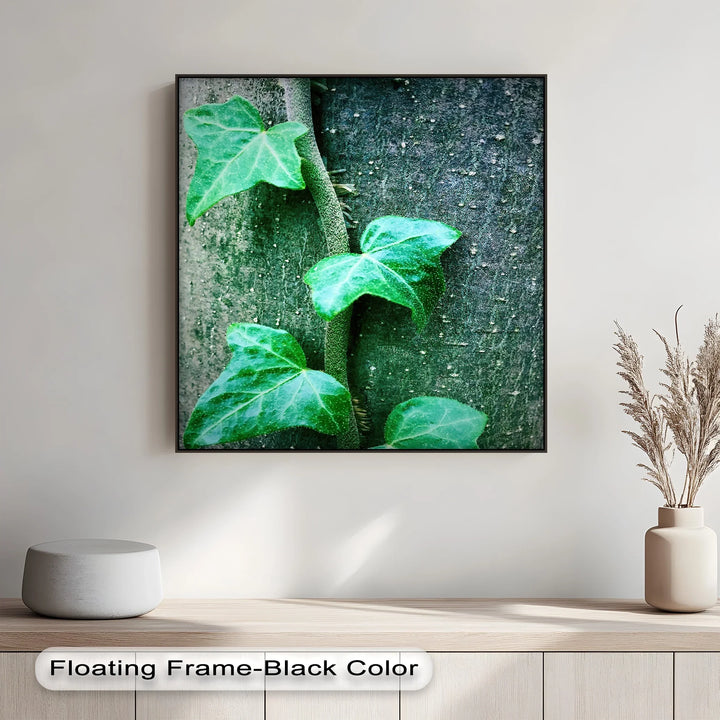 Climbing Ivy Close-Up – Nature Green Canvas Print - MyPhotoStation