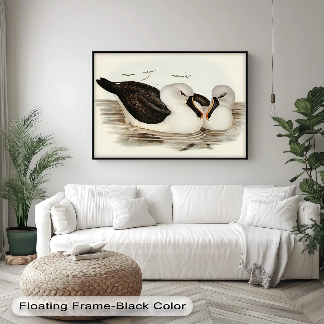 Regal Reflections – Pair of Albatrosses Animal Canvas Print - MyPhotoStation