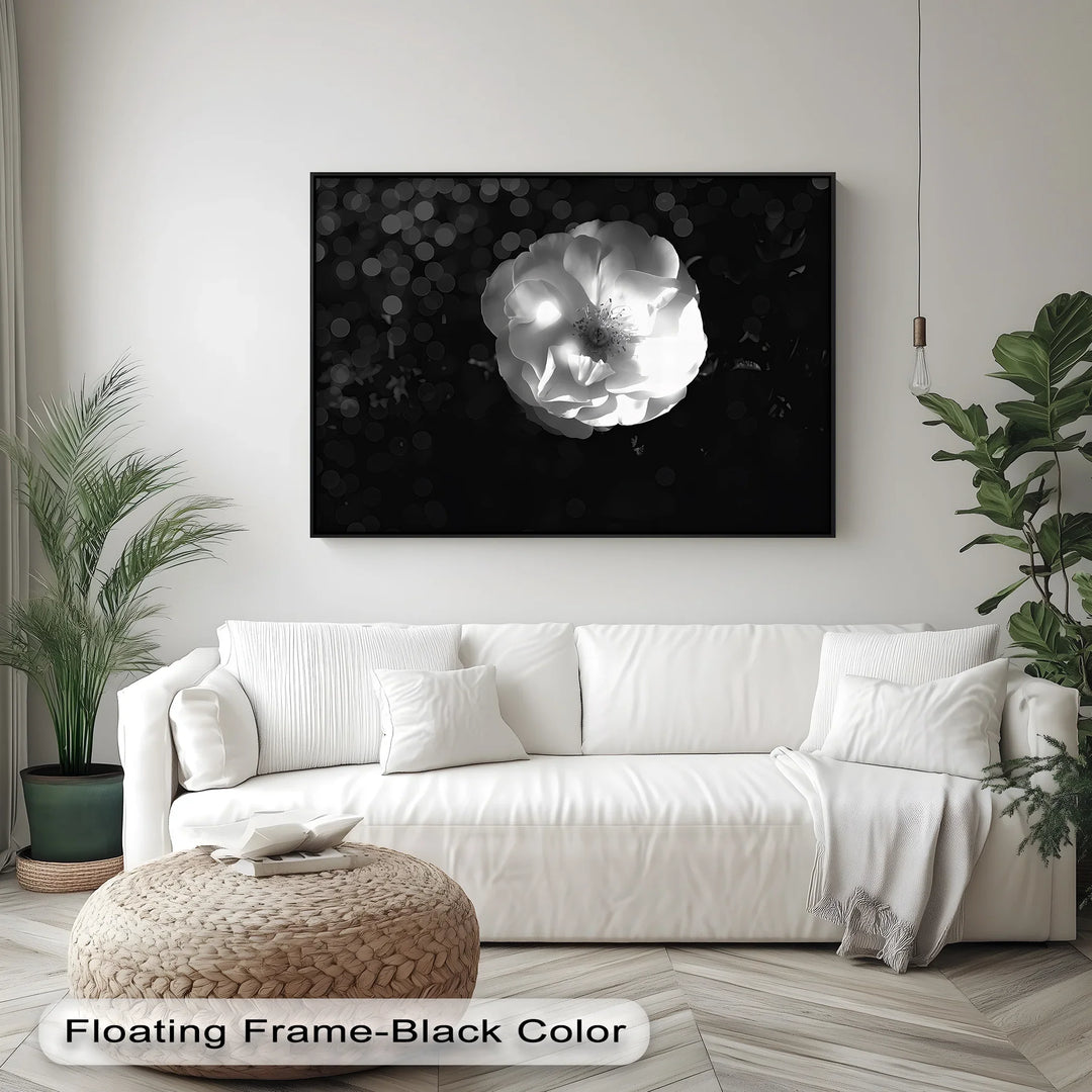 Luminous Bloom – White Rose in Darkness Canvas Print - MyPhotoStation