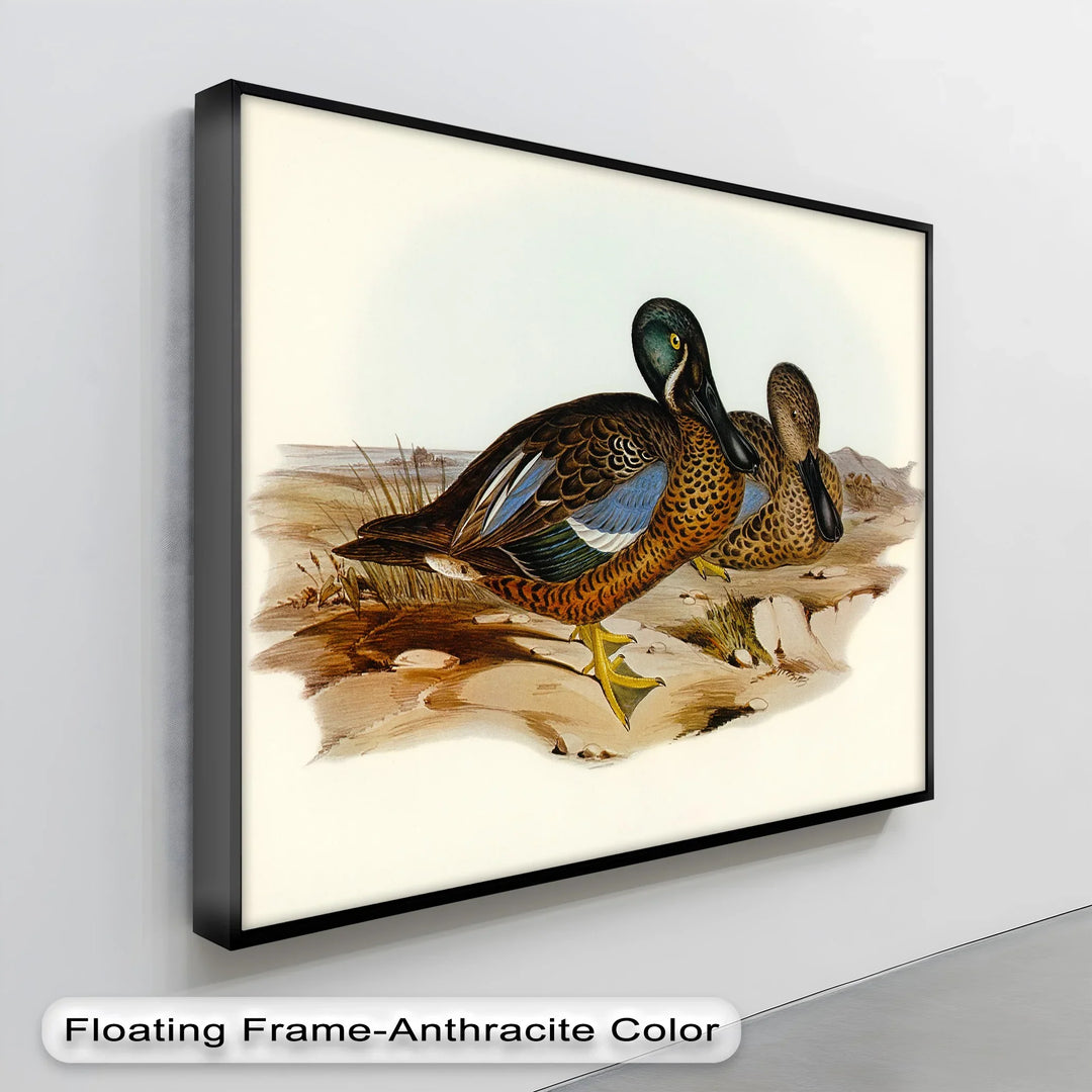 Marshland Companions – Vintage Duck Pair Animal Canvas Print - MyPhotoStation
